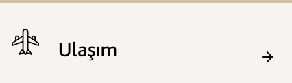 ulasimm